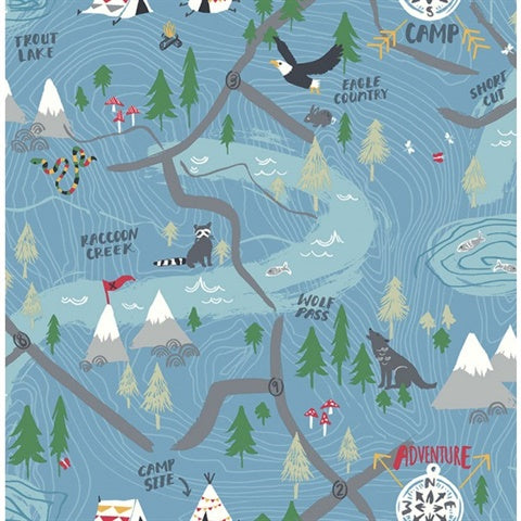 FA41902 Campground Playdate Adventure Wallpaper