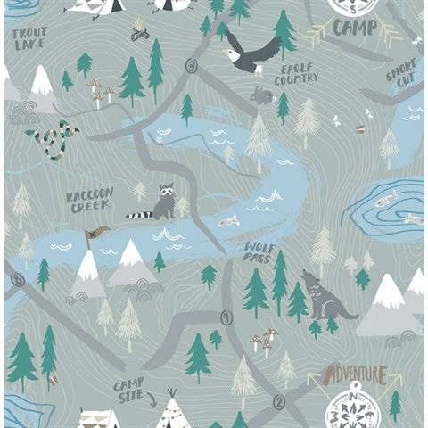 FA41908 Campground Playdate Adventure Wallpaper