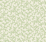 FC62104 Leaf Green Corail Wallpaper