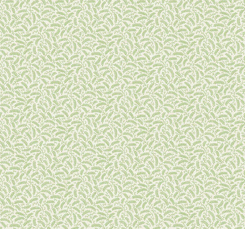 FC62204 Green Spring Leaf Cossette Wallpaper
