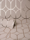 FD42805 Raye Pink Rosco Trellis Wallpaper