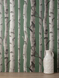 FD43292 Chester Dark Green Birch Trees Wallpaper