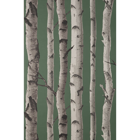 FD43292 Chester Dark Green Birch Trees Wallpaper