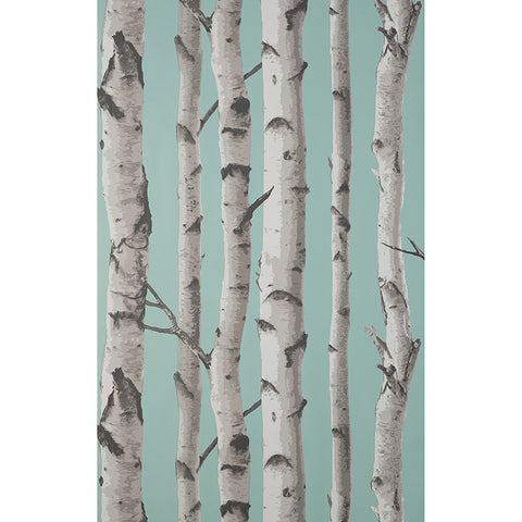 FD43293 Chester Aqua Birch Trees Wallpaper