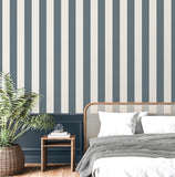 FD43458 Tavish Blue Stripe Wallpaper