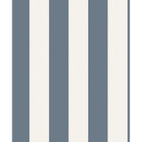 FD43458 Tavish Blue Stripe Wallpaper