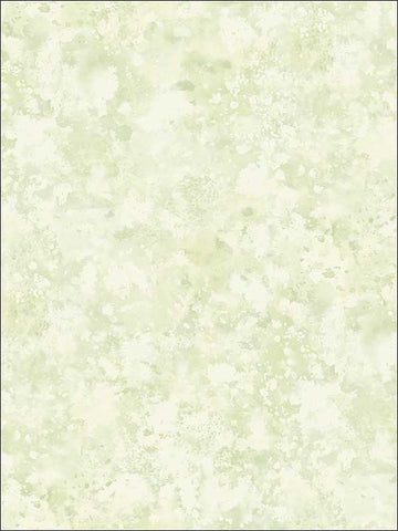 FI71404 Waterdrop Floral Wallpaper