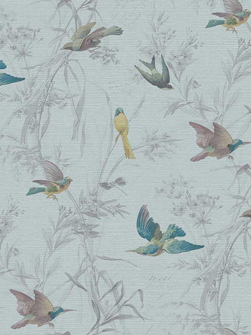 FJ40904 Birds of Paradise Turquoise Wallpaper