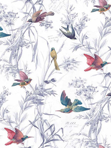 FJ40911 Birds of Paradise Mixed Berry Wallpaper