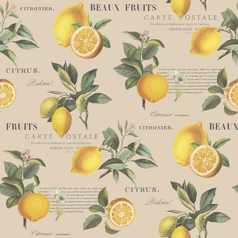G45410 Citron Botanical Wallpaper
