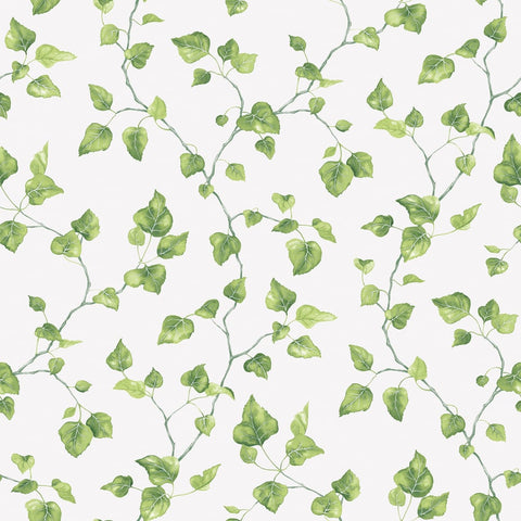 G45431 Just Ivy Wallpaper