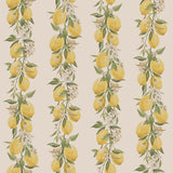 G45440 Lemon Stripe Wallpaper