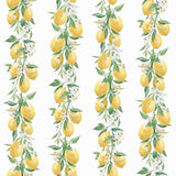 G45441 Lemon Stripe Wallpaper
