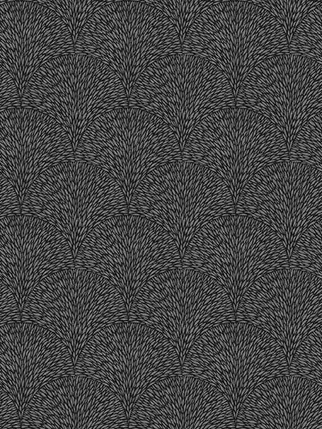 G56603 Hedgehog Black Wallpaper