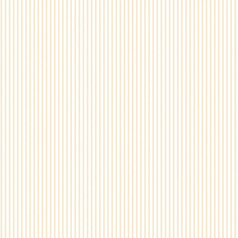 G56640 Candy Stripe Wallpaper