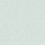 G56677 Mini Texture Wallpaper