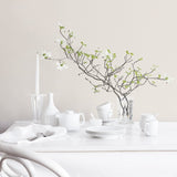 G56687 Shell Top Wallpaper 