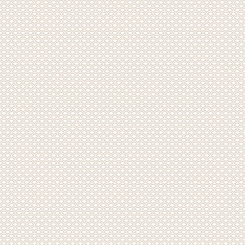 G56687 Shell Top Wallpaper 