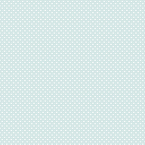 G56688 Shell Top Wallpaper