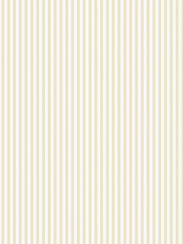 G67909 Shirt Stripe Orange Wallpaper