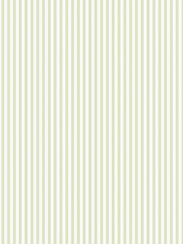 G67910 Shirt Stripe Green Wallpaper