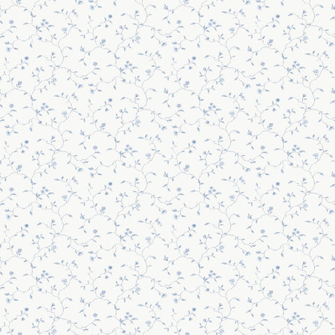 G67920 Spikey Trail Wallpaper 