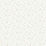 G67923 Spikey Trail Wallpaper 