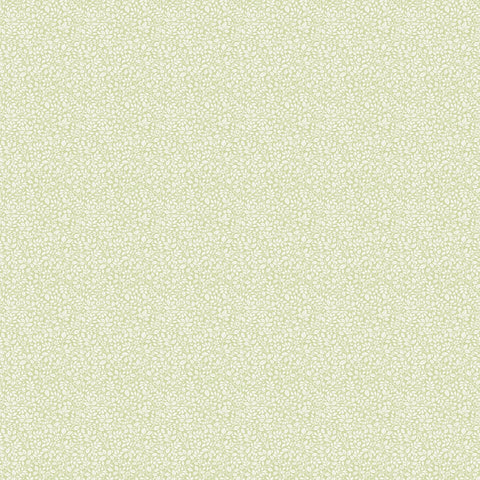 G68708 Full Mini Wallpaper