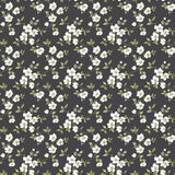 G78480 Anemone Mini Wallpaper