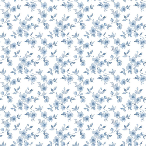 G78481 Anemone Mini Wallpaper