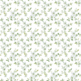 G78483 Anemone Mini Wallpaper