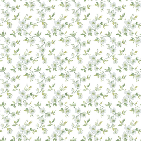 G78483 Anemone Mini Wallpaper