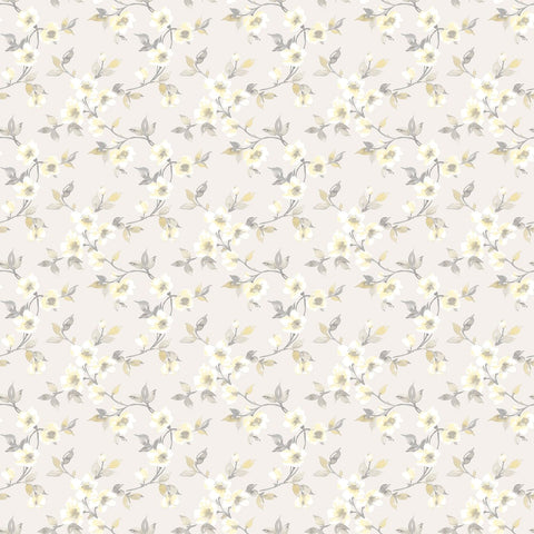 G78486 Anemone Mini Wallpaper