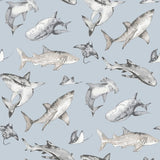 G78591 Sharks Blue Wallpaper 