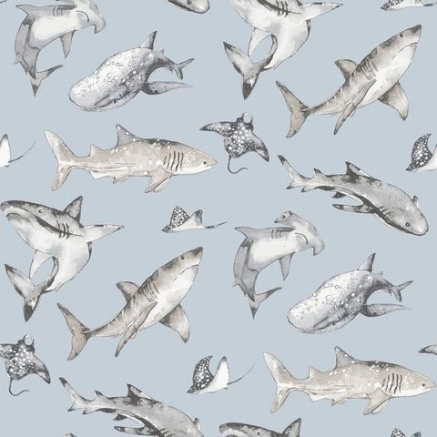 G78591 Sharks Blue Wallpaper 