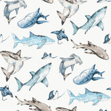 G78592 Sharks Blue Wallpaper 