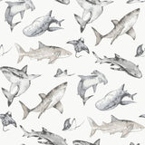 G78593 Sharks Grey Wallpaper 