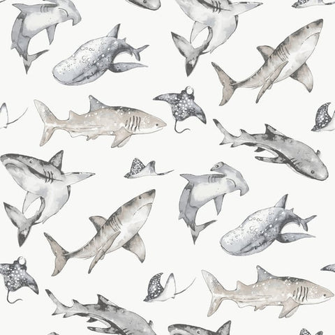 G78593 Sharks Grey Wallpaper 