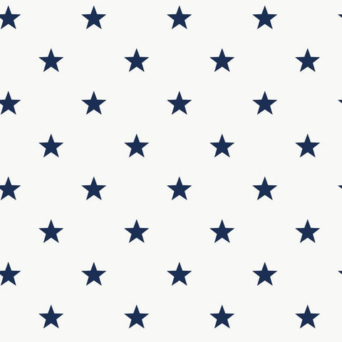 G78599 Stars Blue Wallpaper  