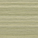 GT30411 Seagrass Horizontal Stria Wallpaper
