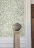 GT4582 Ronald Redding Aslan Green Wallpaper