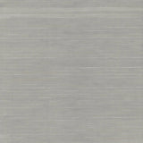 GV0253 Ronald Redding Handcrafted Shimmering Gray Silver Wallpaper