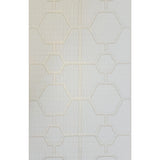 Z80028 Geo Hexagon matt ivory gold metallic trellis lines wallpaper textured alligator