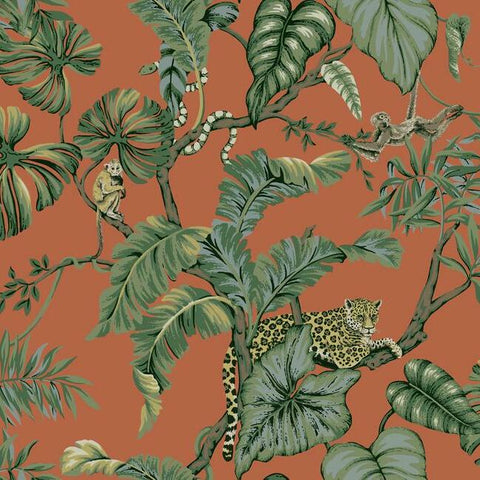 HO2142 Jungle Cat Orange Wallpaper