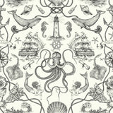 HO3360 Deep Sea Toile Wallpaper