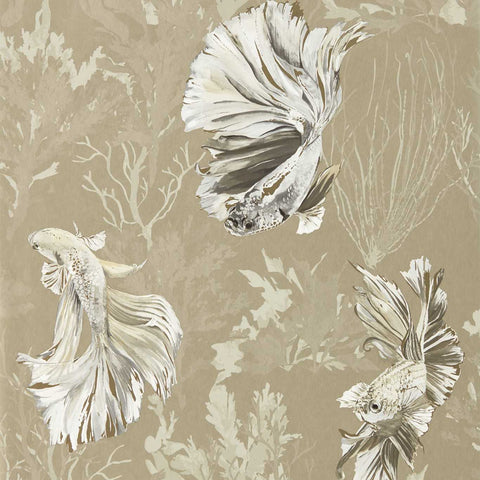 HTEW112765 HALFMOON Gilver Tranquility Colour Wallpaper