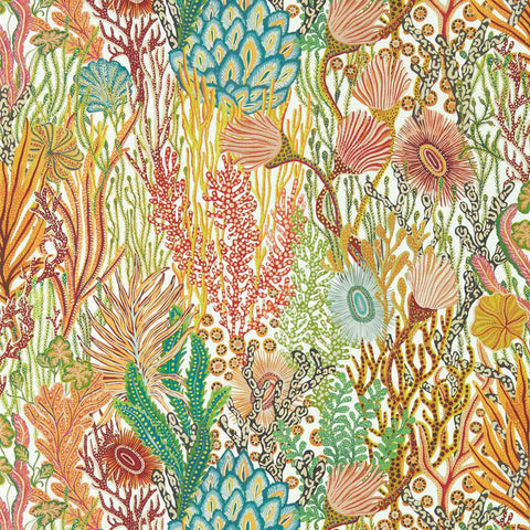 HTEW112779 Acropora Brazilian Rosewood Colour Wallpaper