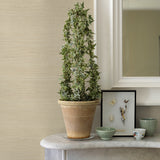 2972-54760 Hetao Cream Sisal Grasscloth Fine Woven Wallpaper