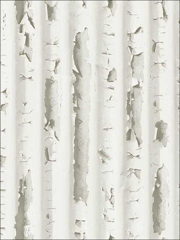 IR50605 Corrugated Metal Wallpaper