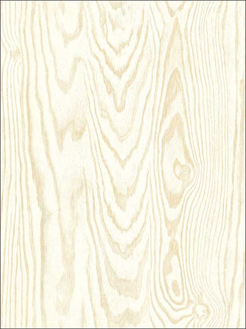 IR51305 Wood Texture Wallpaper